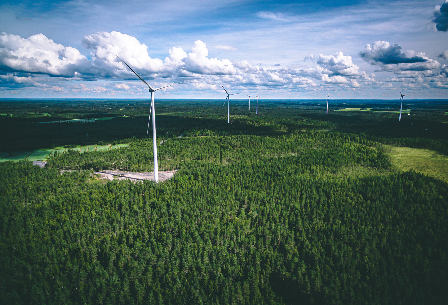 Offset a 1kg of Carbon